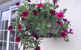 Seafield House B&B
